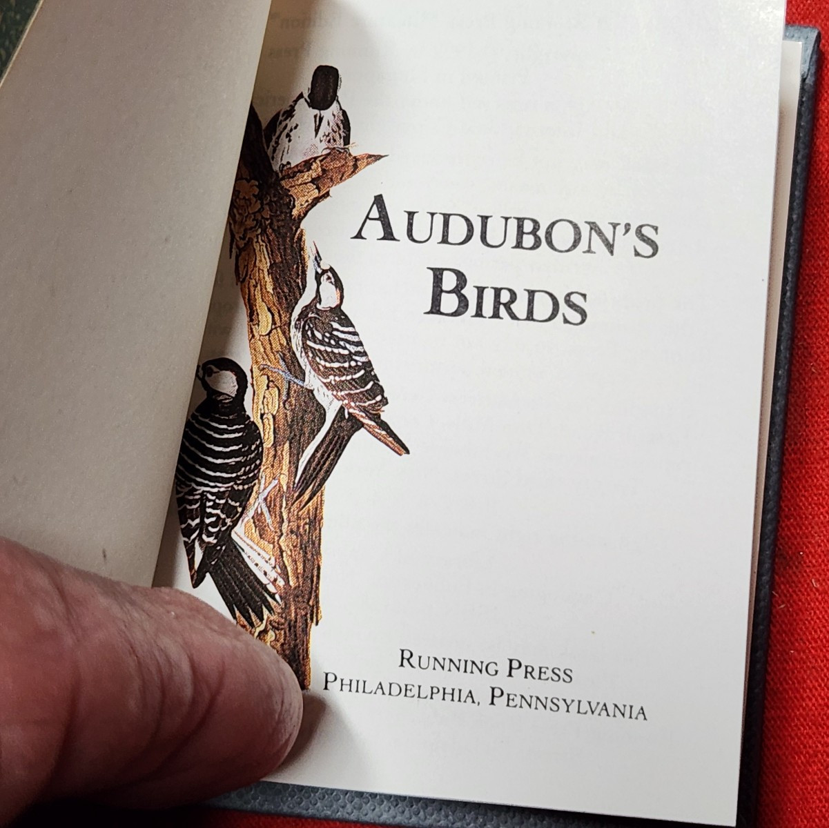 Running Press Mini Book Audubon’s Birds Hard Cover Color Illustrations 8v6