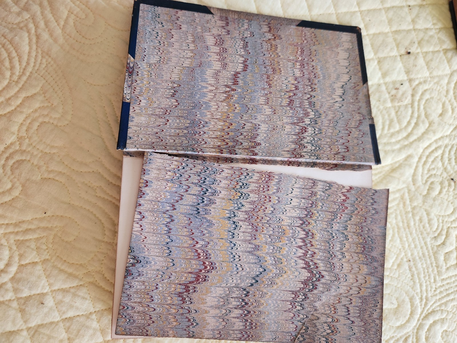 Vintage Charles Dickens, Volumes 1 and 2 of Pickwick Papers