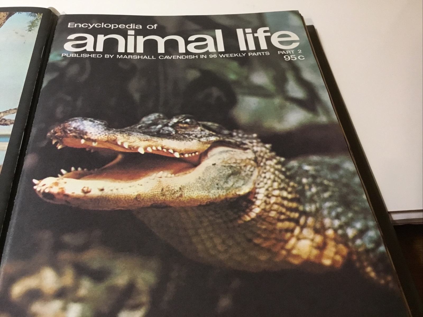 Encyclopedia of Animal Life Magazines by M. Cavendish in Binder 1 – 13 ~ 1973