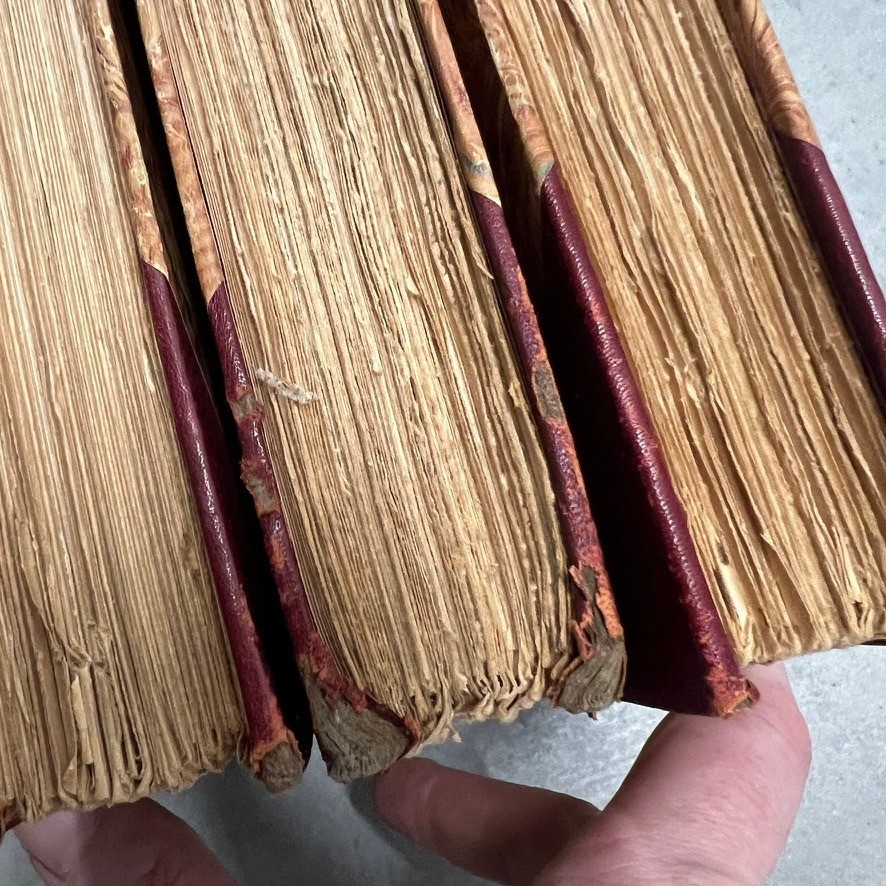Antique Red Leather Books 1880s Charles Lamb Chesterfield Society Edition Luxe