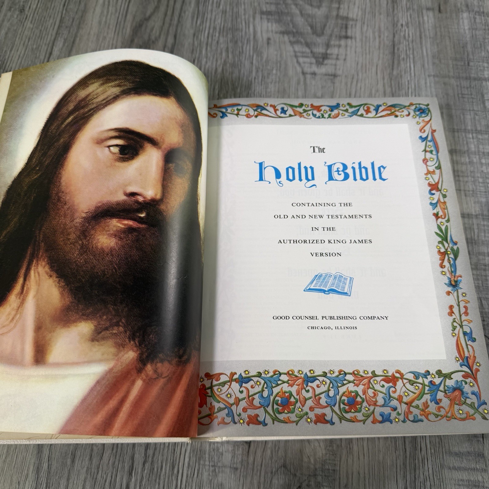 Vintage King James Family Holy BIBLE 1963 W/ Color Illustrations White Large