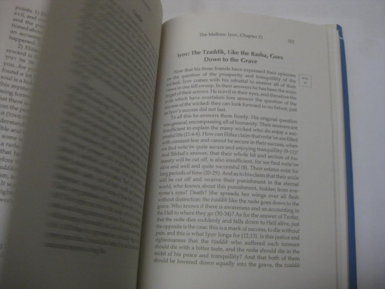 Fine Lines of Faith: A Study of the Torah’s Outlook Human Suffering IYOV MALBIM