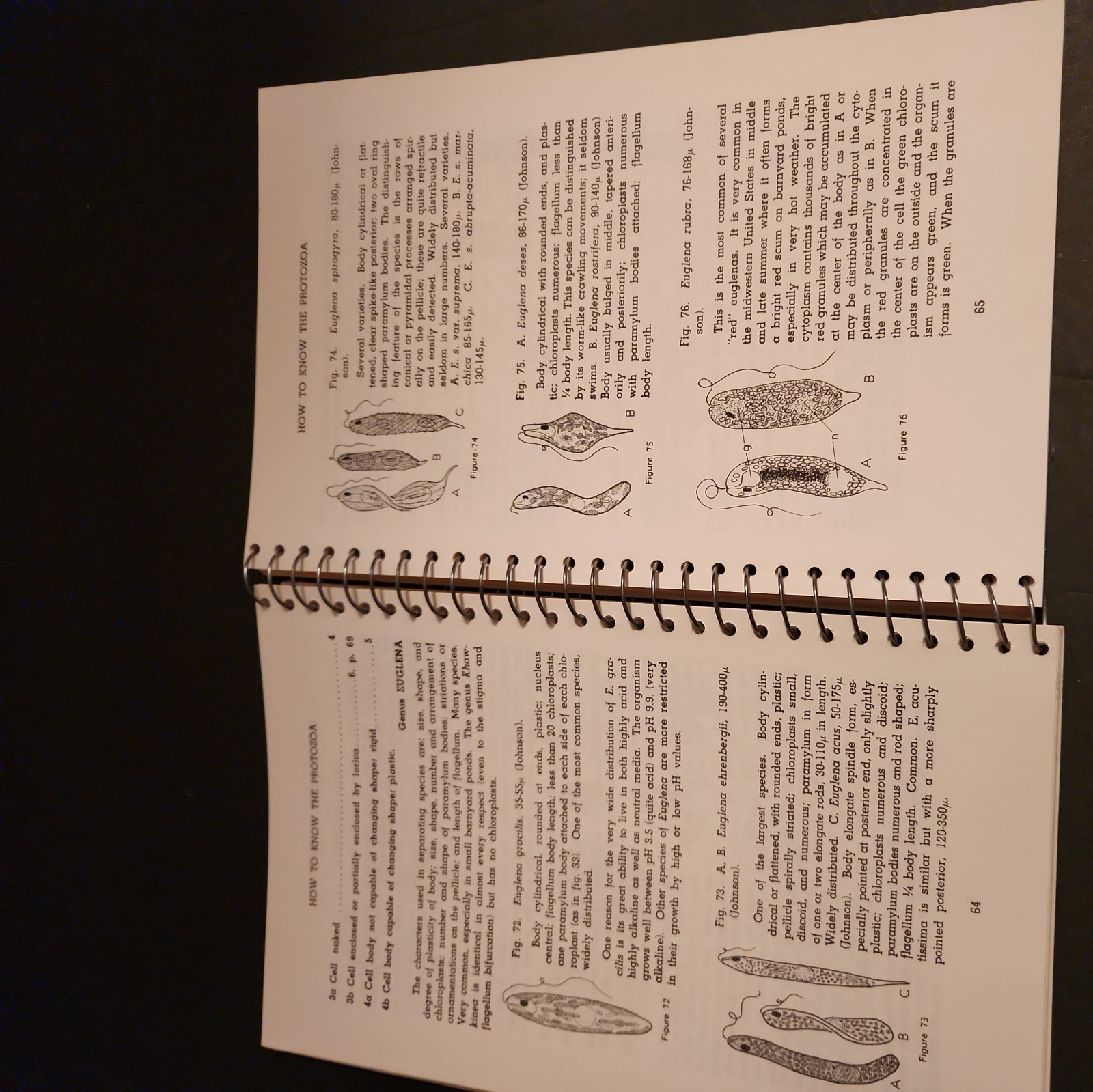 How to Know the Protozoa by T.L. John Spiral Bound Paperback