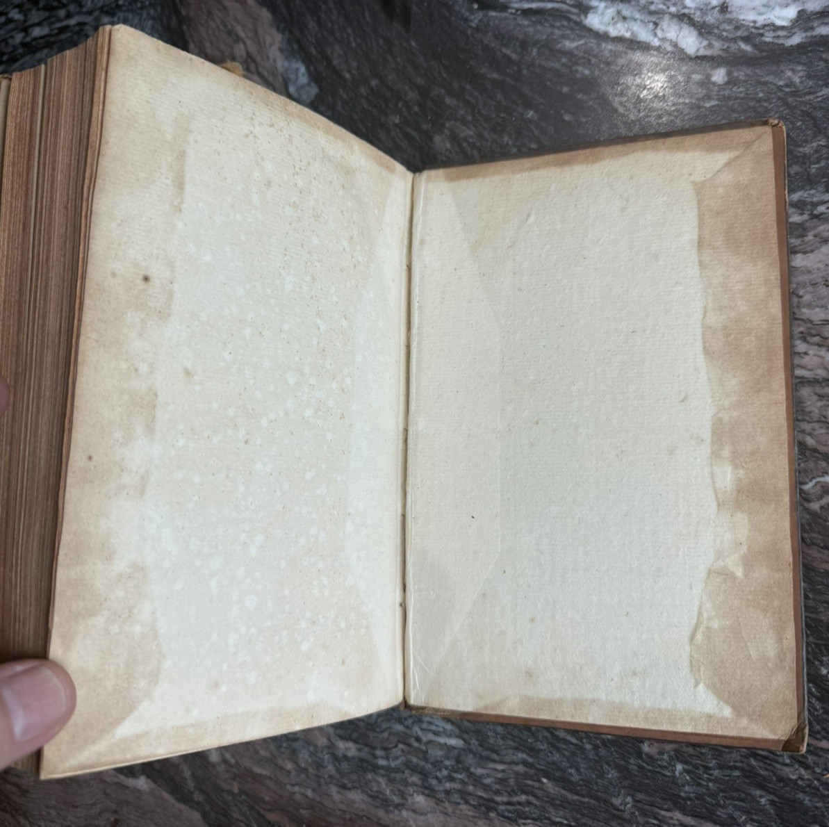 1763 – 2vols Paradise Lost John Milton Thomas Newton Illustrated 6th Edition