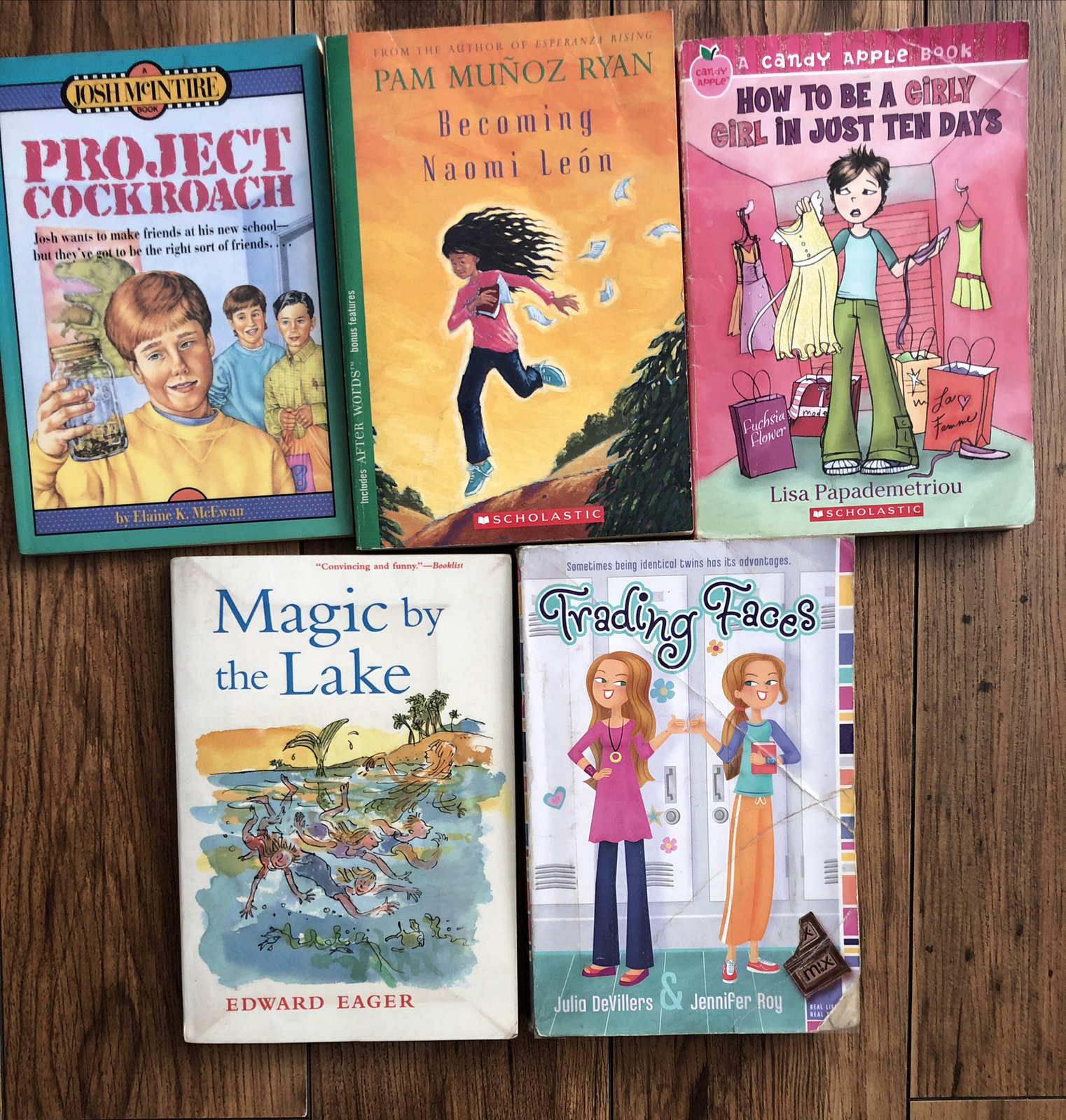 Lot of 20 Chapter Children Young YOUTH RANDOM UNSORTED BOOKS MIX Exlib #8