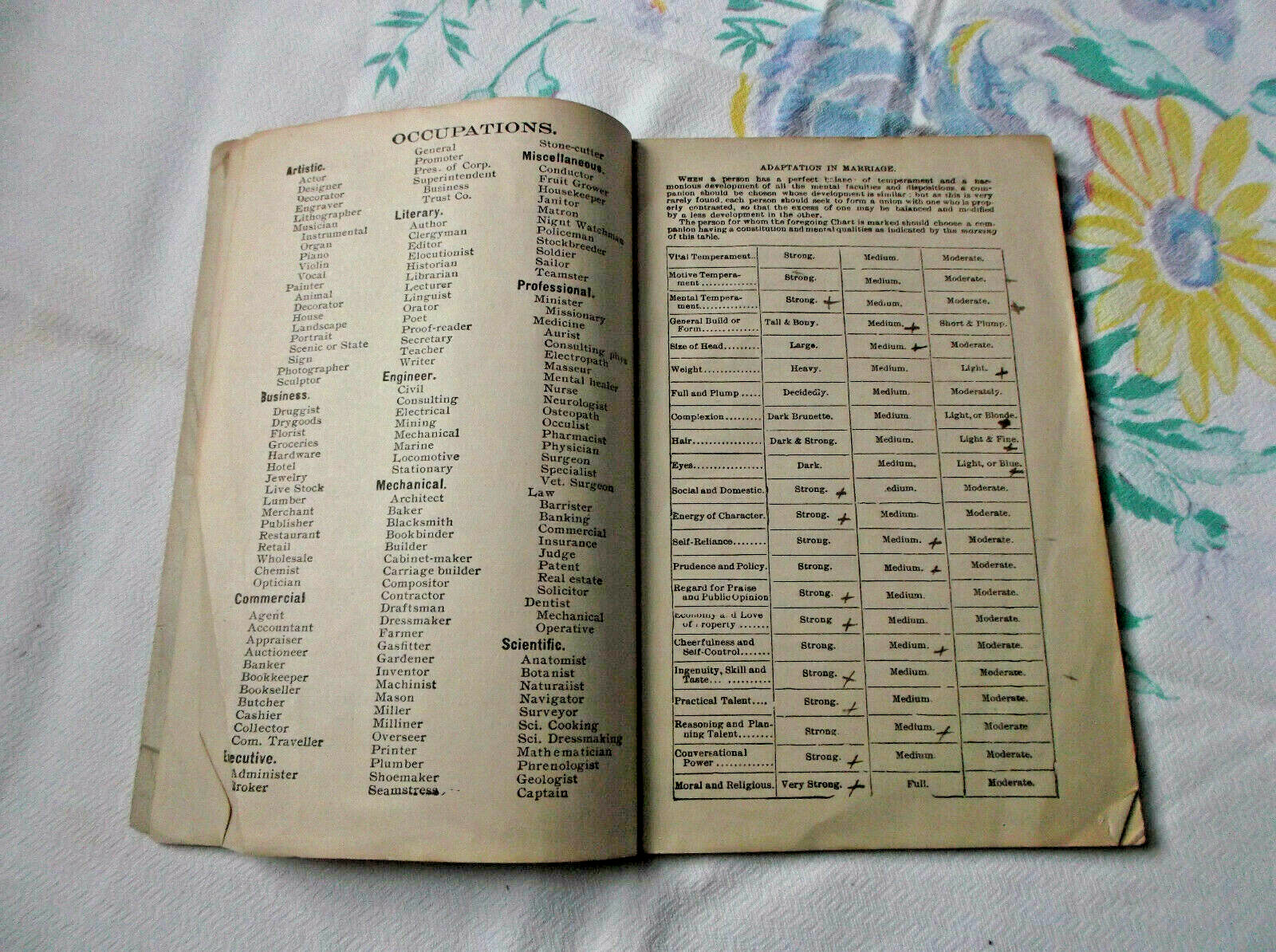 Antique 1900 Fowler’s Phrenology Pamphlet Journal Book Chart Brain Head Science