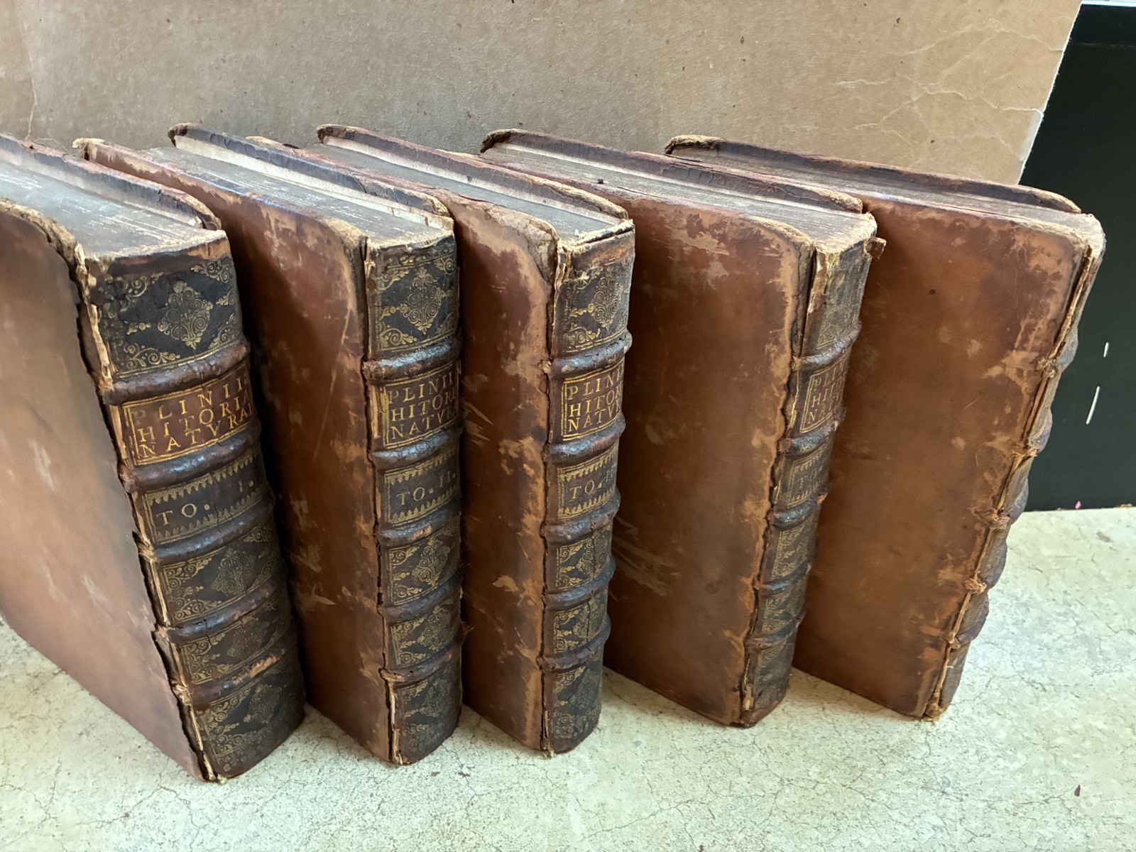 Pliny the Elder “Naturalis Historiae” Delphin Edition 1685 Complete 5 Volume Set