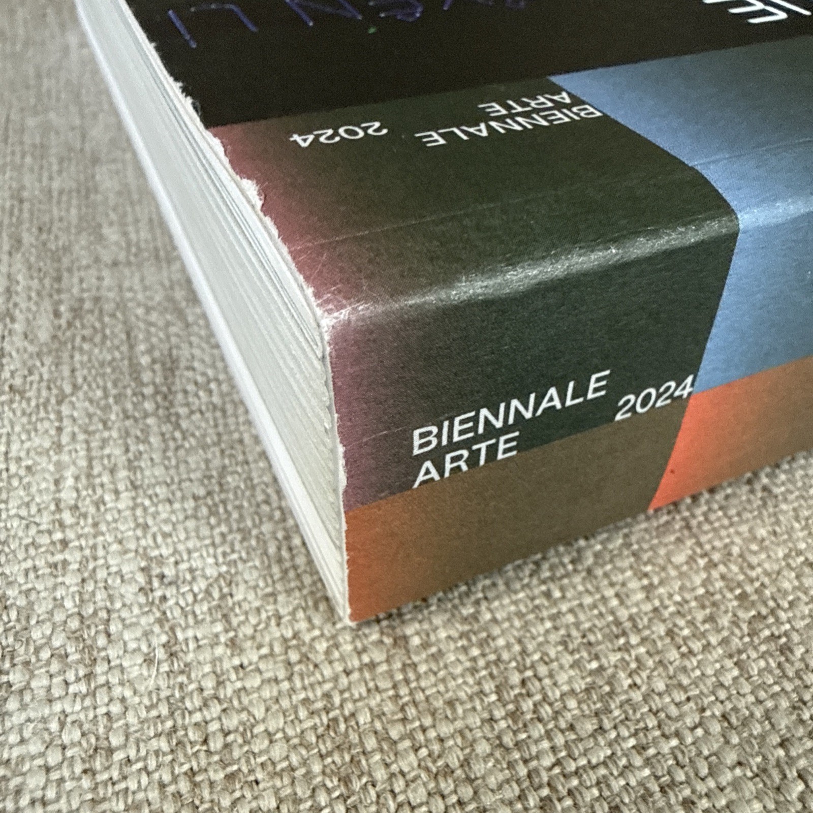 Venice Biennale 2024 Foreigners Everywhere, Guide/Catalog, PaperEnglish Version