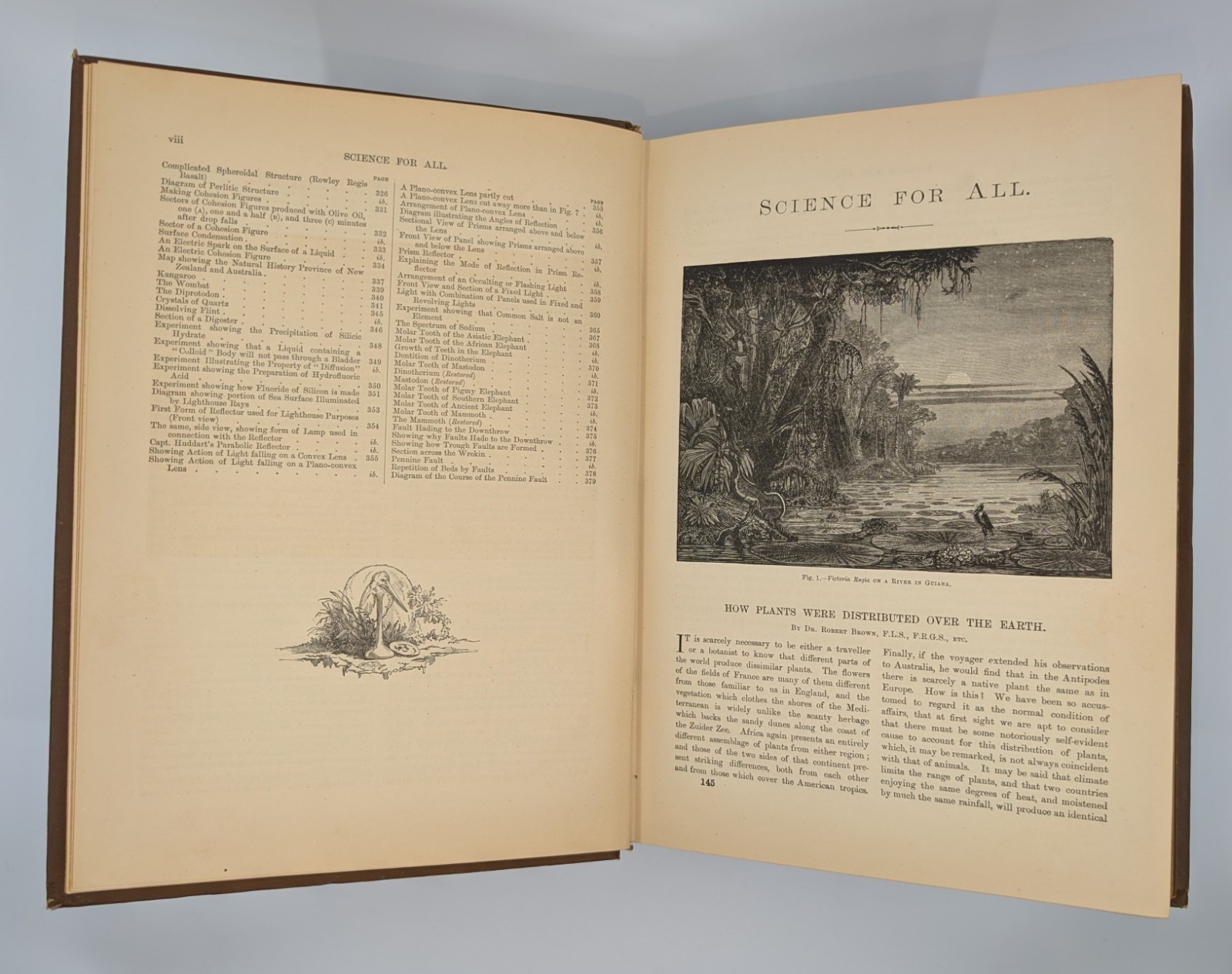 Science for All c. 1890s Vol. IV Antique Victorian Illustrated Cloth Book