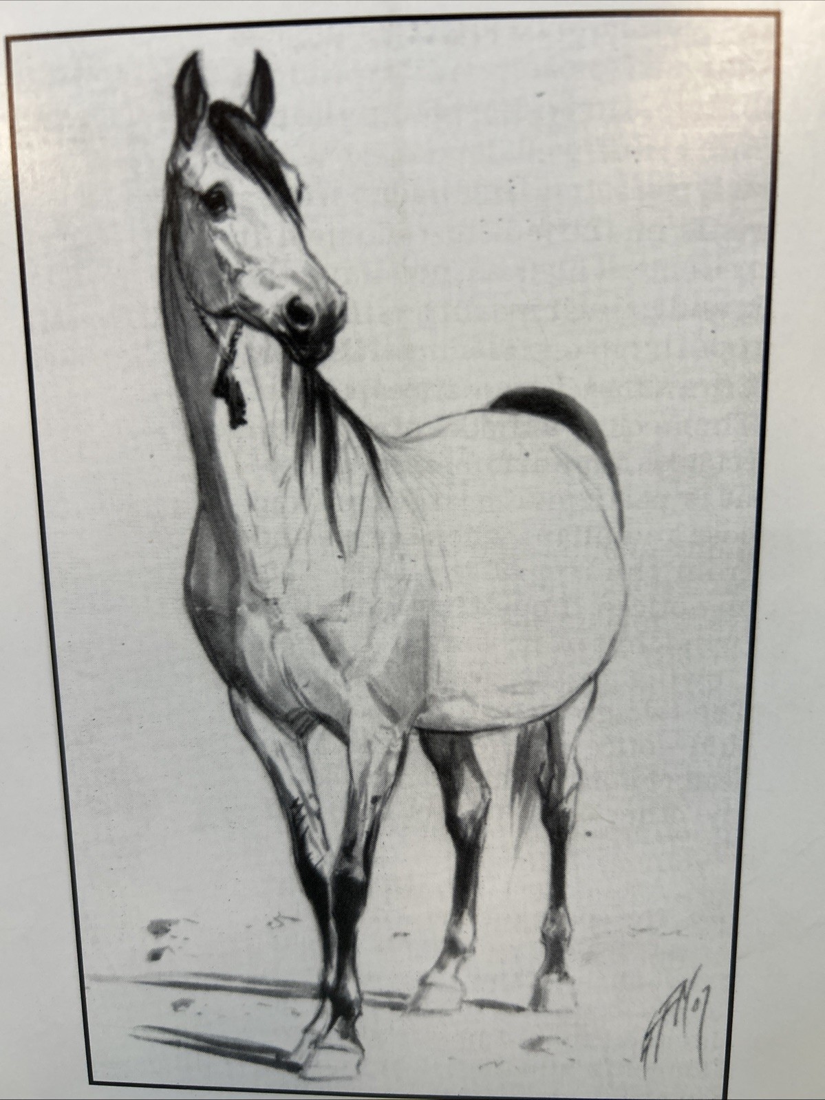 Arabian Visions Magazine Horse January 1999 Vintage