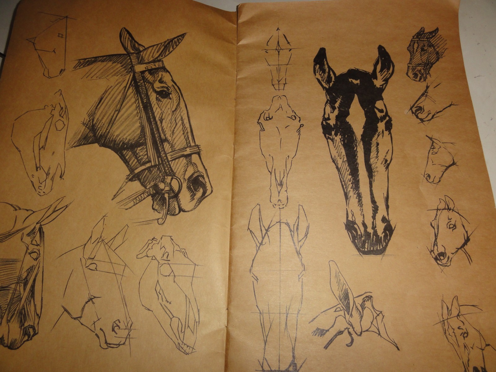 VERY OLD “HOW TO DRAW ANIMALS” BY WALTER T FOSTER, CIRCA UNKNOWN!