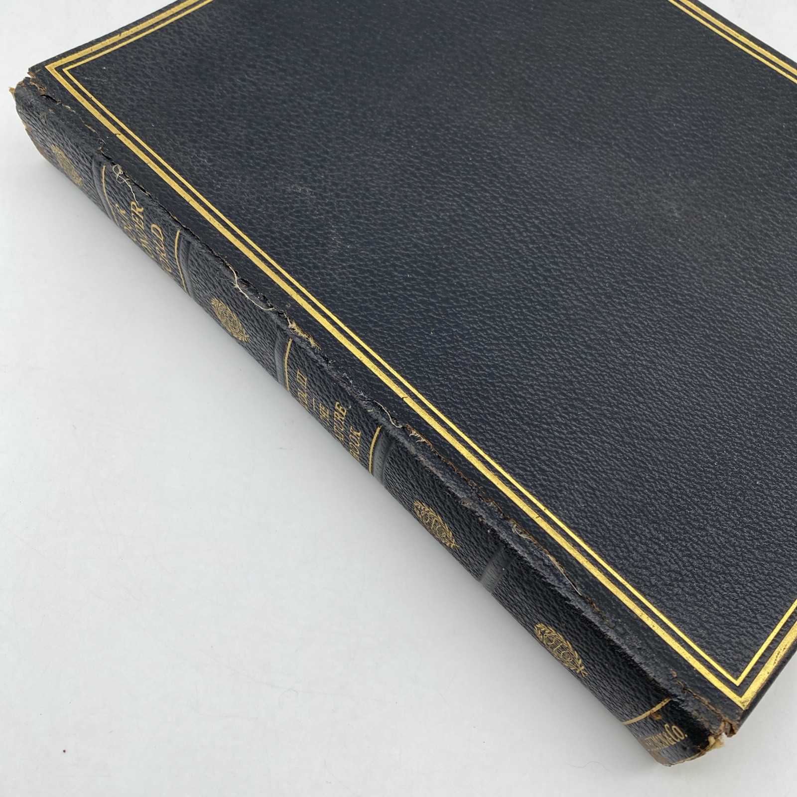 Our Wonder World A Library of Knowledge Complete 10 Volume Encyclopedia Set 1918