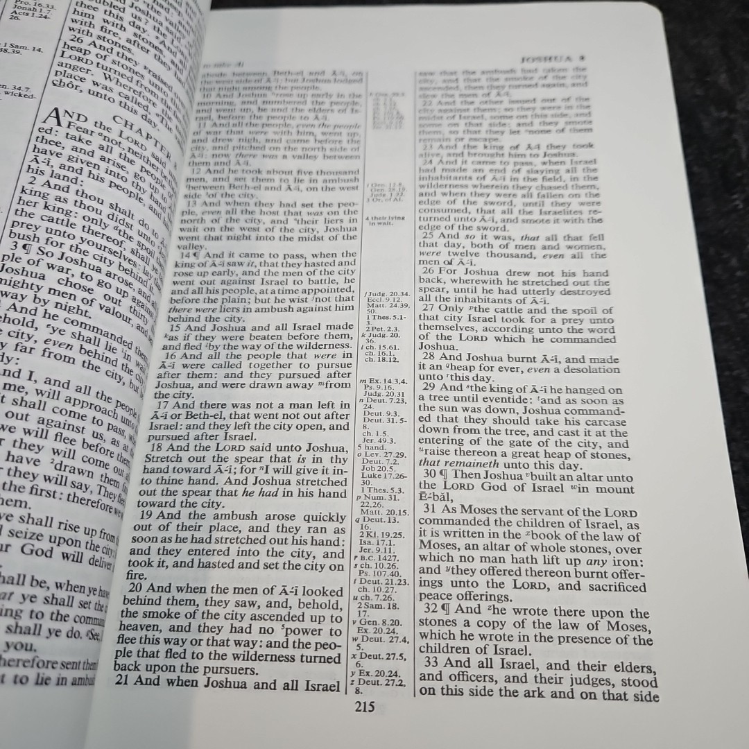 VINTAGE Holy Bible KJV Loose Leaf Edition Journaling Riverside Publishers