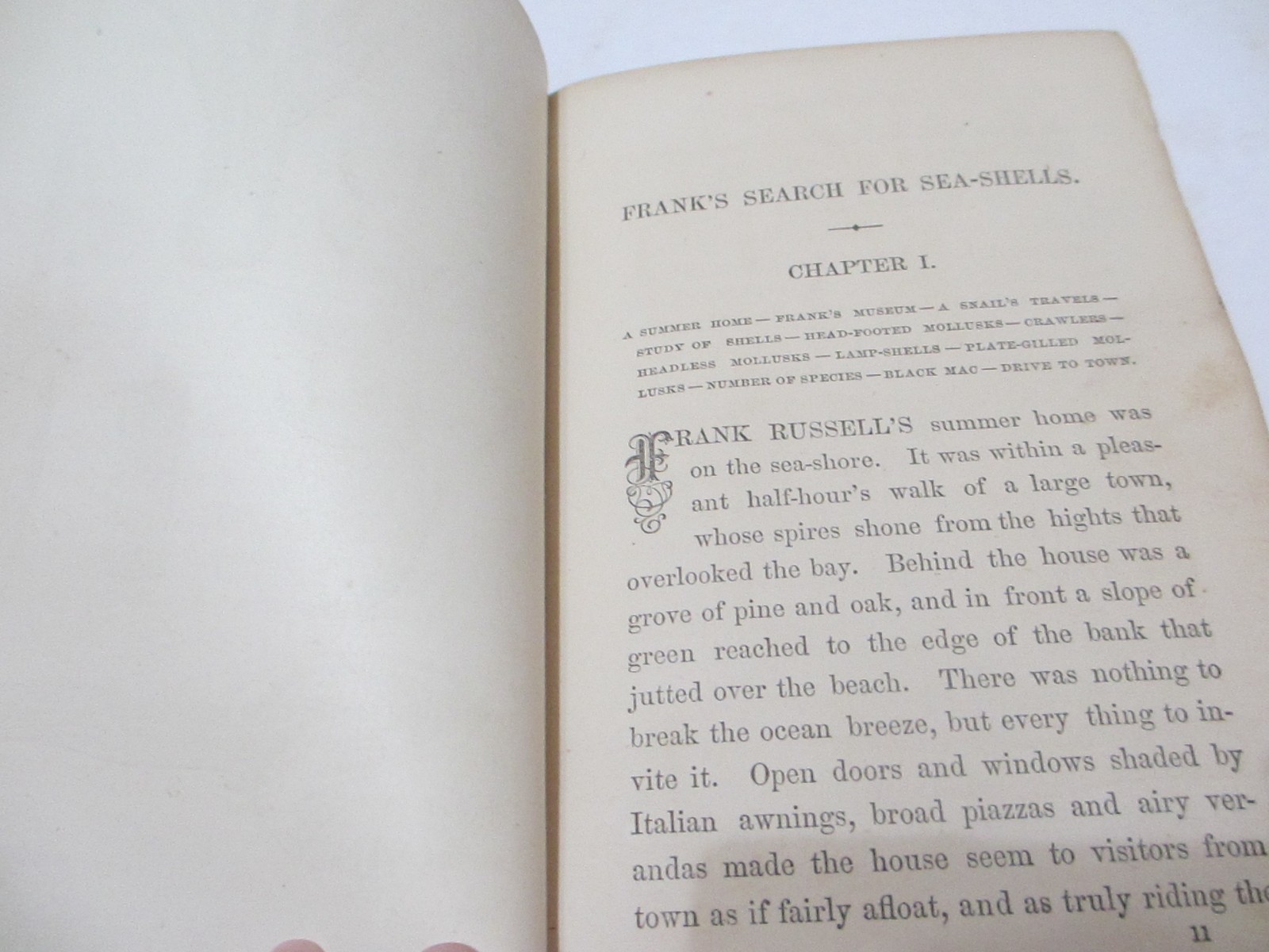 RARE 1866 ANTIQUE BOOK SEA SHELLS FRANK’S SEARCH FOR CONCHOLOGY STUDY ENG PLATES