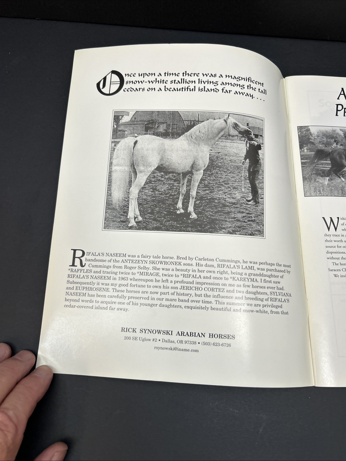 Arabian Visions Magazine Horse Summer 1999 Vintage Northwest CMK AL Khamsa