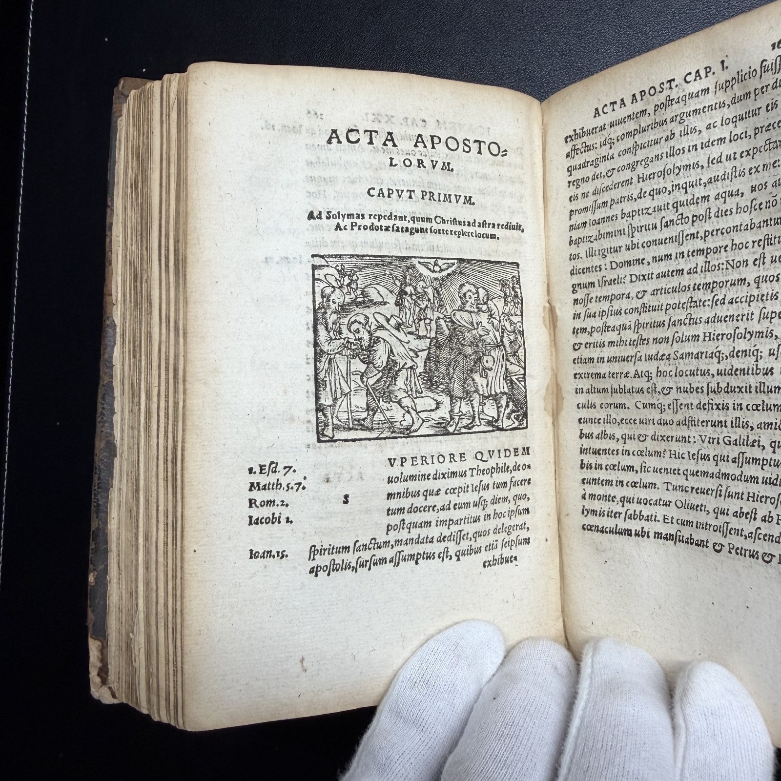 1567 ✝️ Erasmus Novi Testamenti, Latin NT, 100+ Woodcuts, Rihel