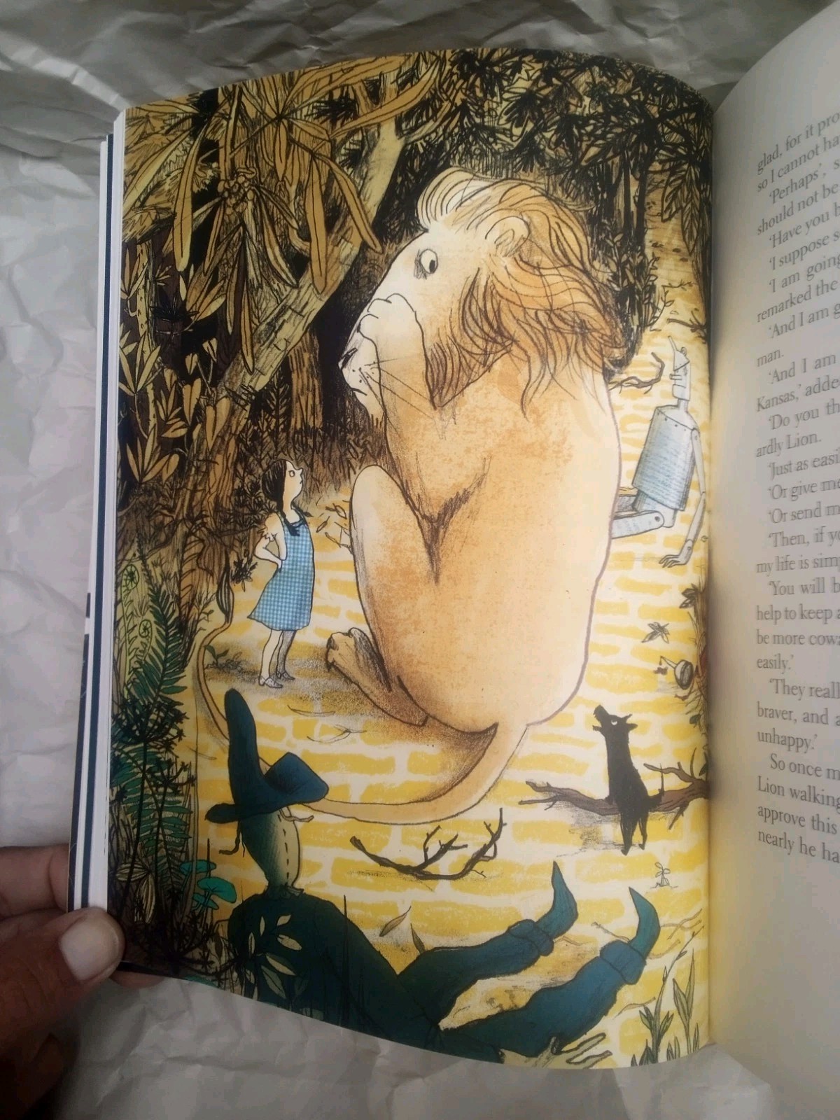 The Wonderful Wizard of Oz FOLIO SOCIETY w/SLIP CASE Illustrated 2010/2018 RARE!