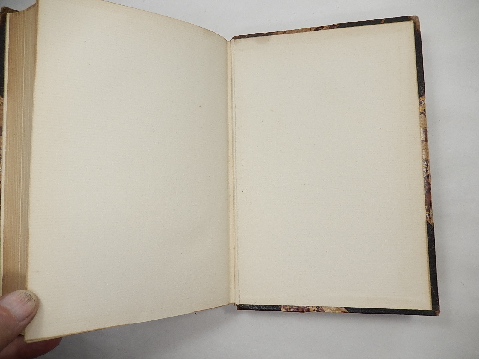 American Eloquence: Studies in American Political History, Volume 2 only, 1896