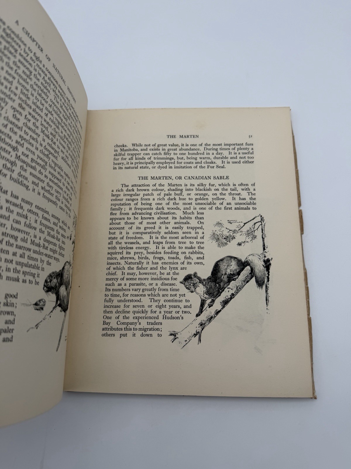 1920 Hudsons Bay Company Adventurers England Trading 1670 1920 Illustrated w/Map