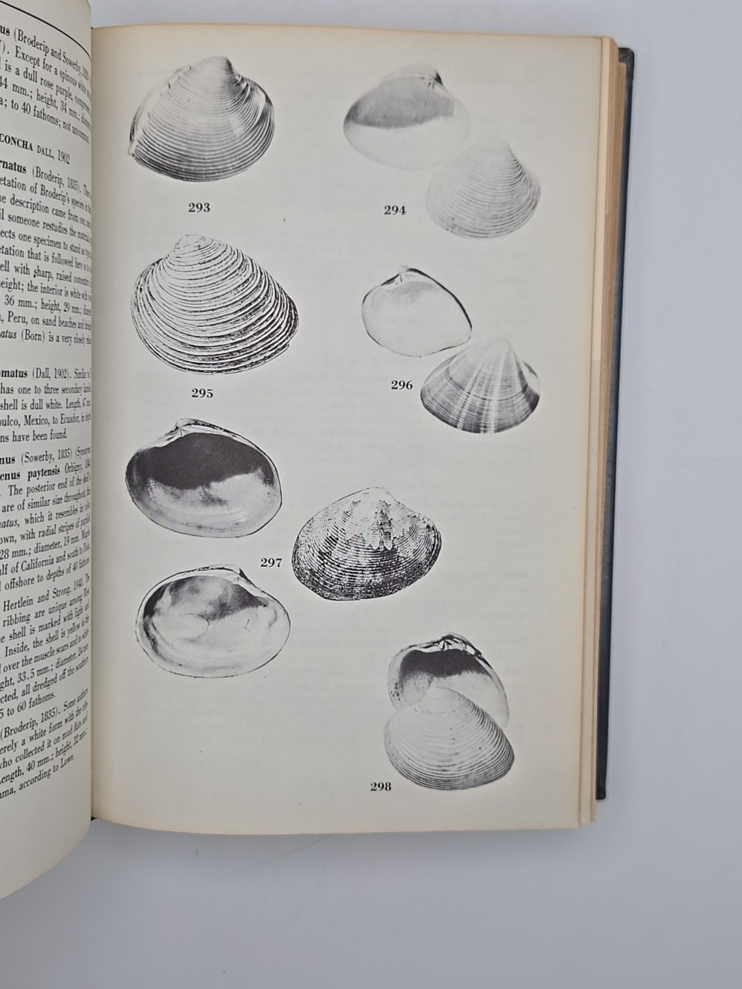 Sea Shells of Tropical West America Keen 1960 Stanford University Press 1960 HC