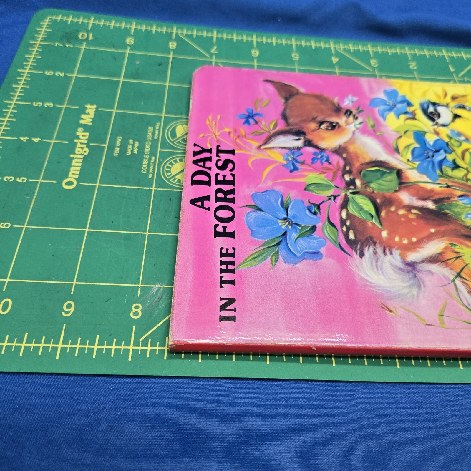 Vintage Day Forest Board Book Children Animals Nature Woodland Elementary Story
