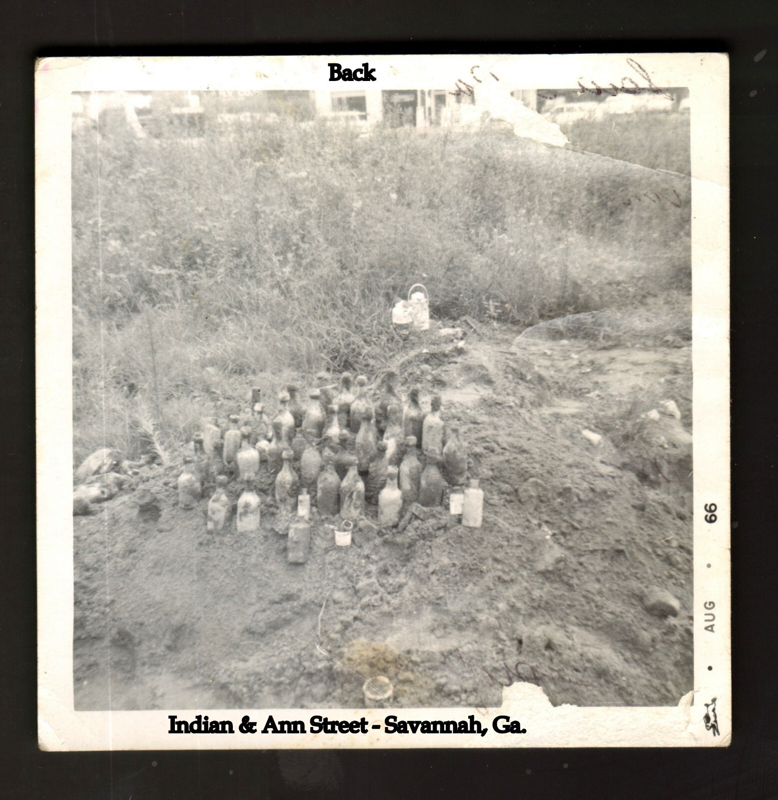 EARLY SODAS OF THE CAROLINA, over 130 pages of Sodas in Color and invalue!