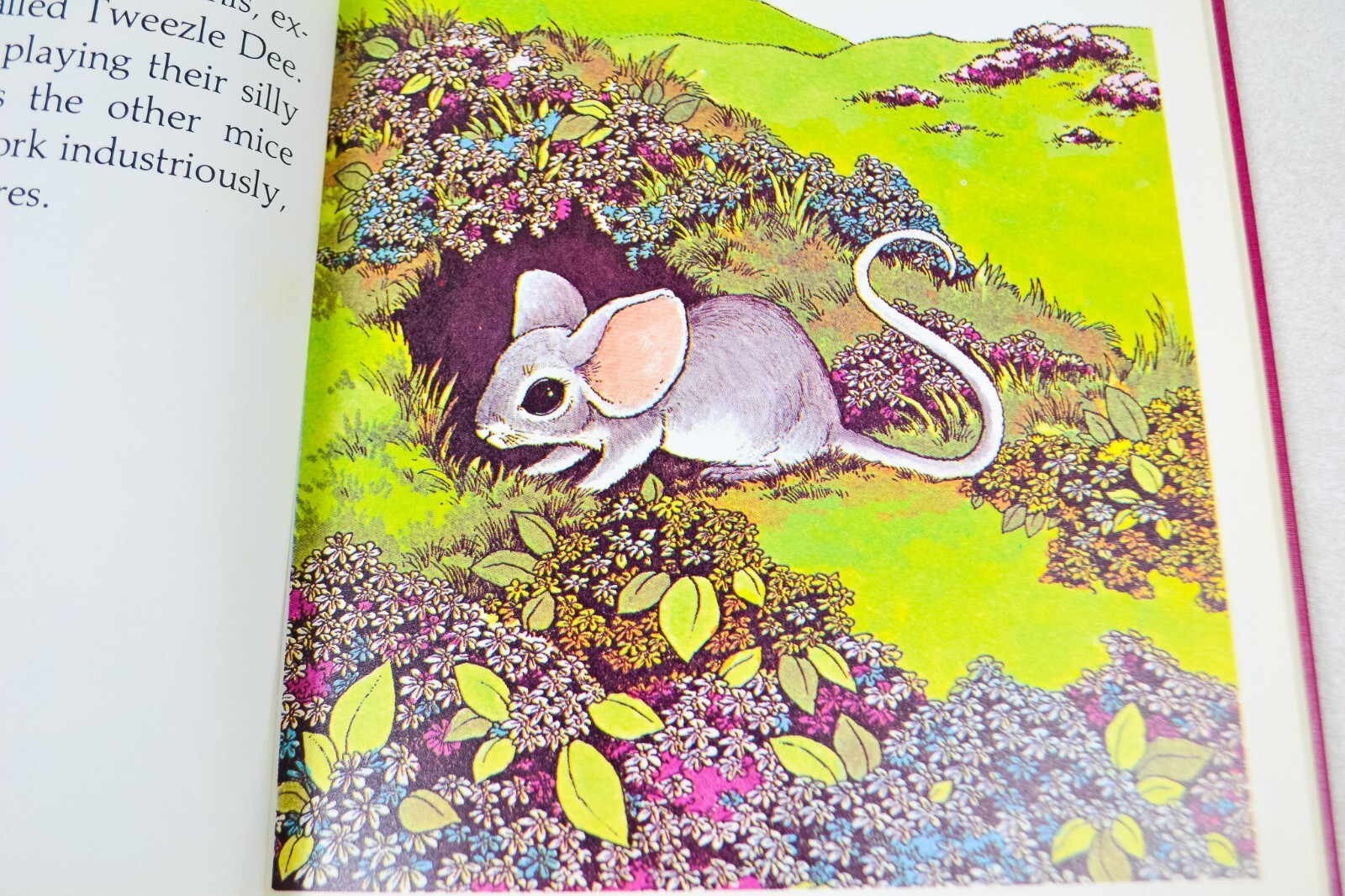 Little Mouse on the Prairie – Serendipity Book Cosgrove & James
