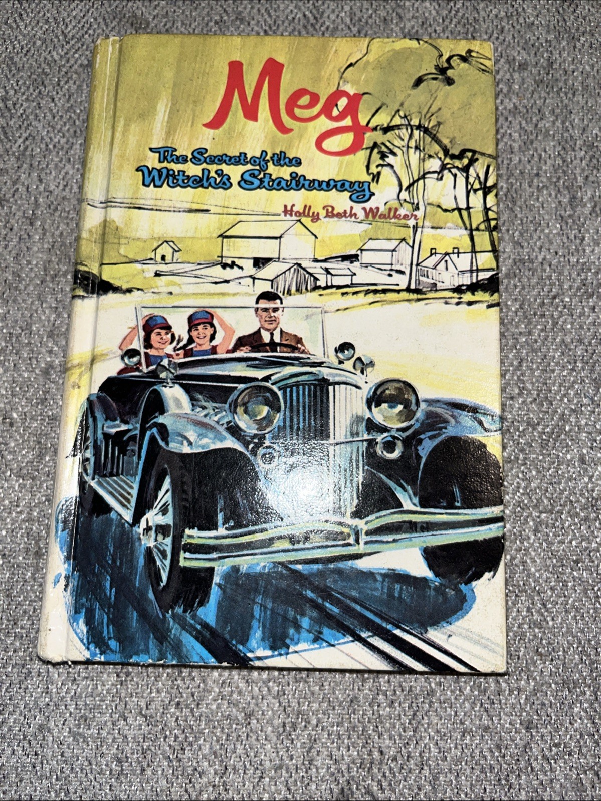 Meg Series By Holly Beth Walker, Lots Of 2, Hardcover