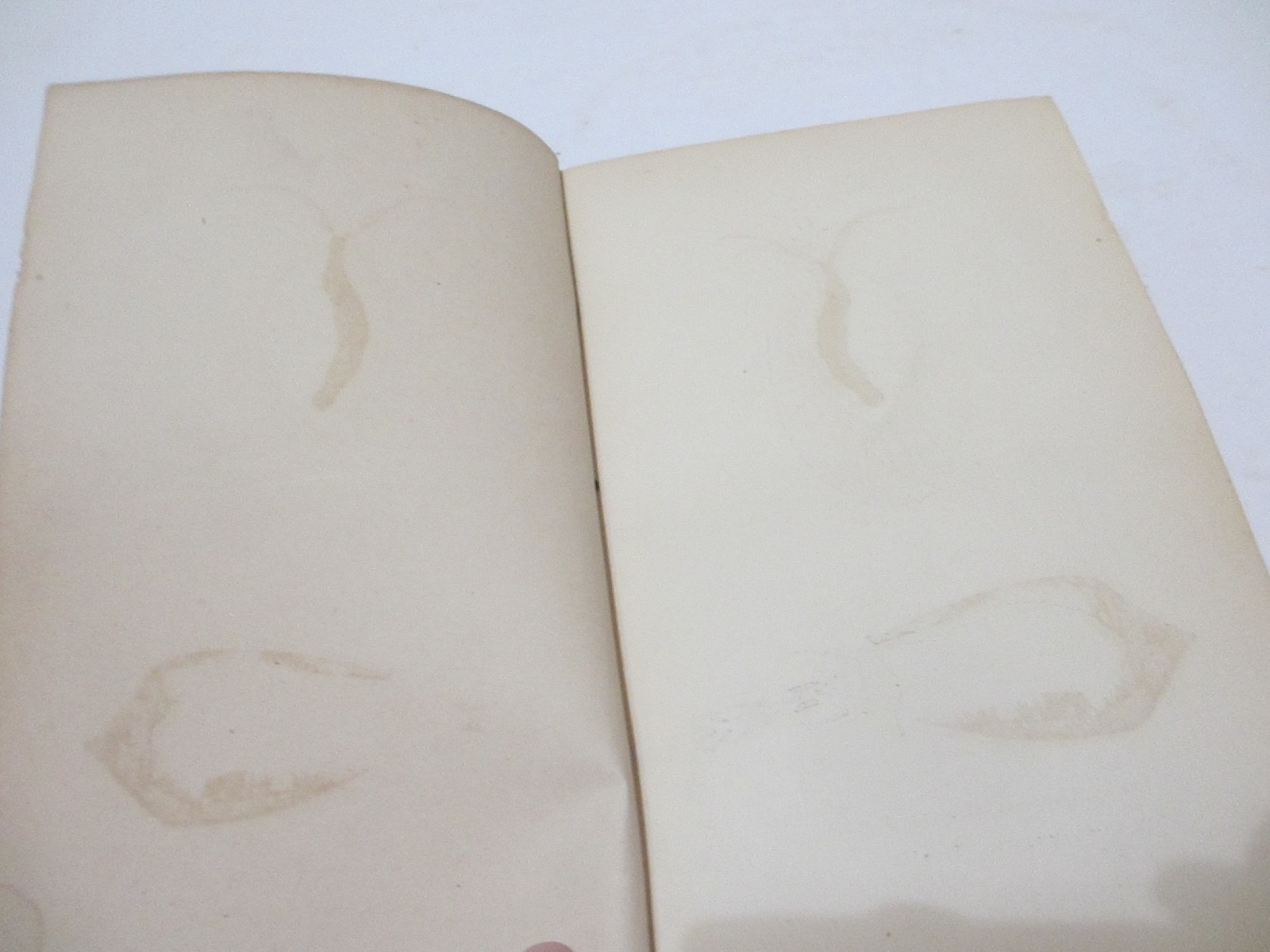 RARE 1866 ANTIQUE BOOK SEA SHELLS FRANK’S SEARCH FOR CONCHOLOGY STUDY ENG PLATES