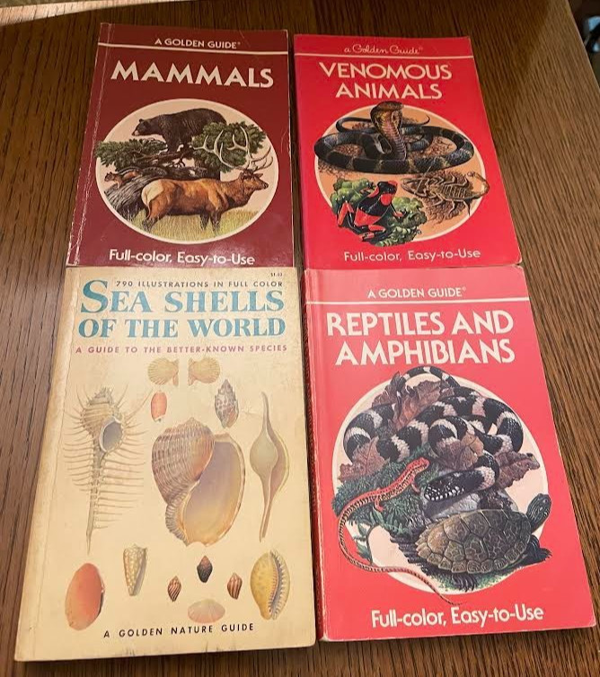 VINTAGE GUIDES TO FIELD IDENTIFICATION – 4 GOLDEN BOOKS – COLLECTORS!