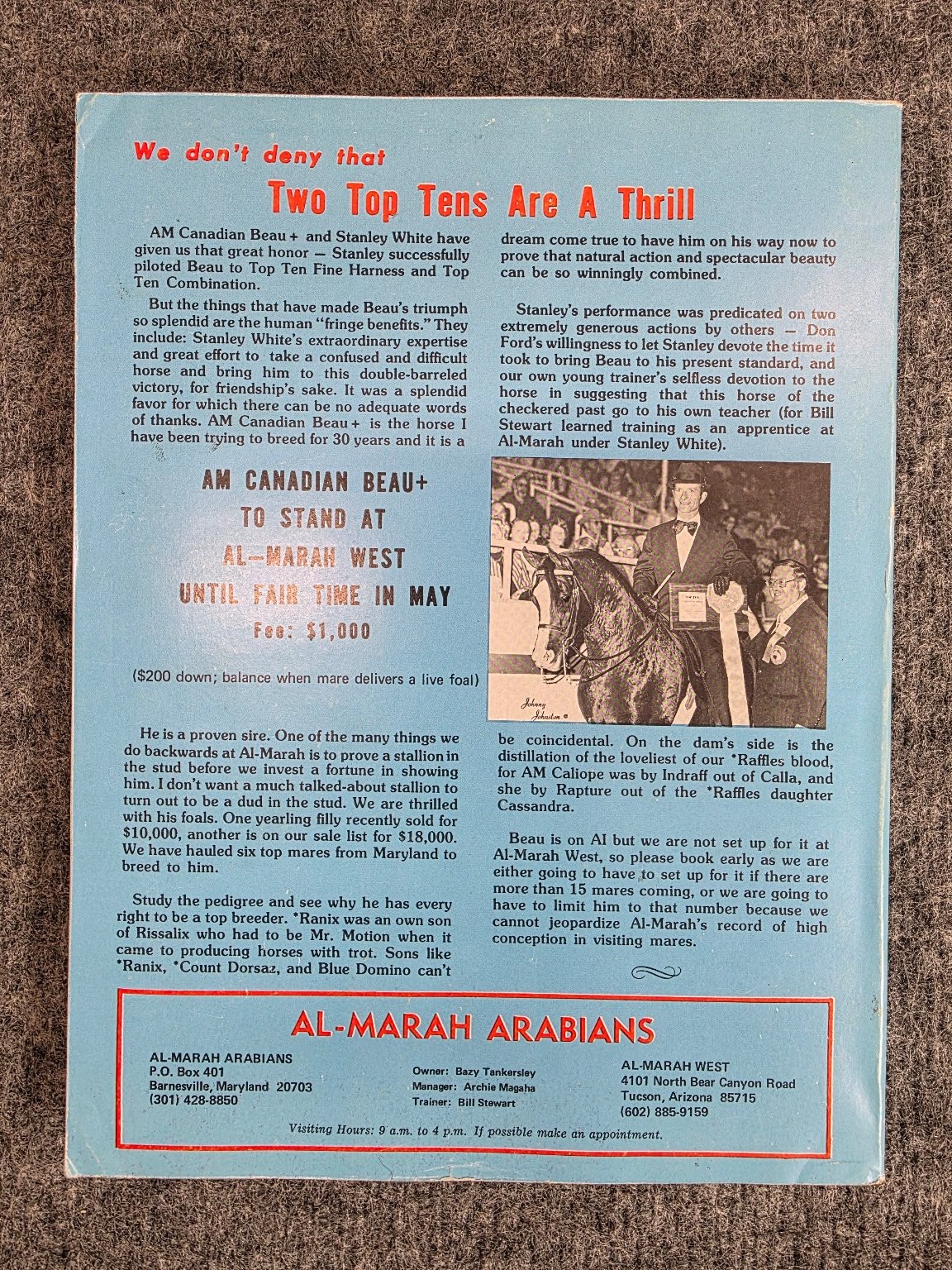 The Arabian Horse News December 1974 1975 Stallion Edition Gai-Adventure