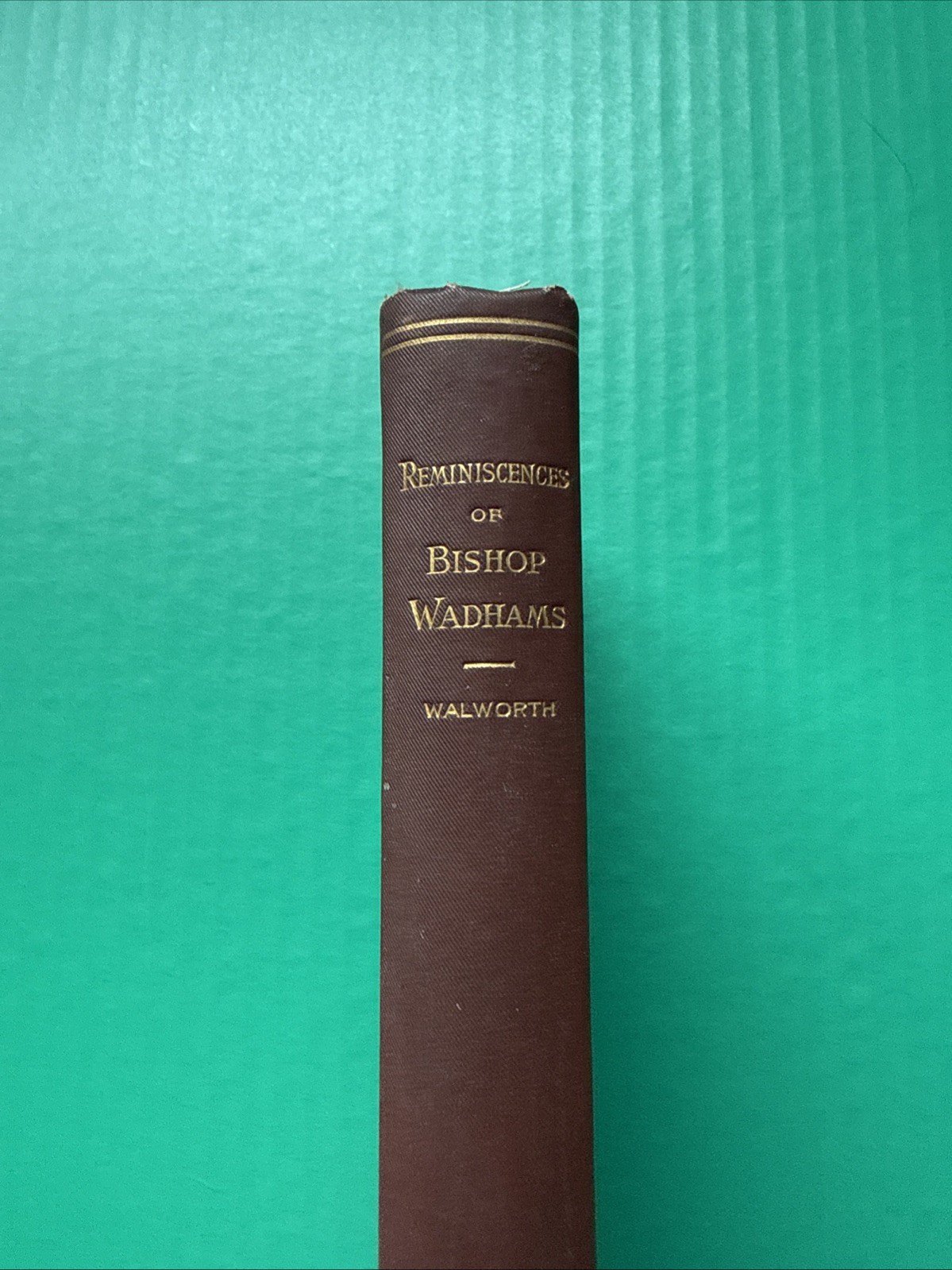 Reminiscences of Bishop Wadhams (1893) by C.A. Walworth RARE VG+