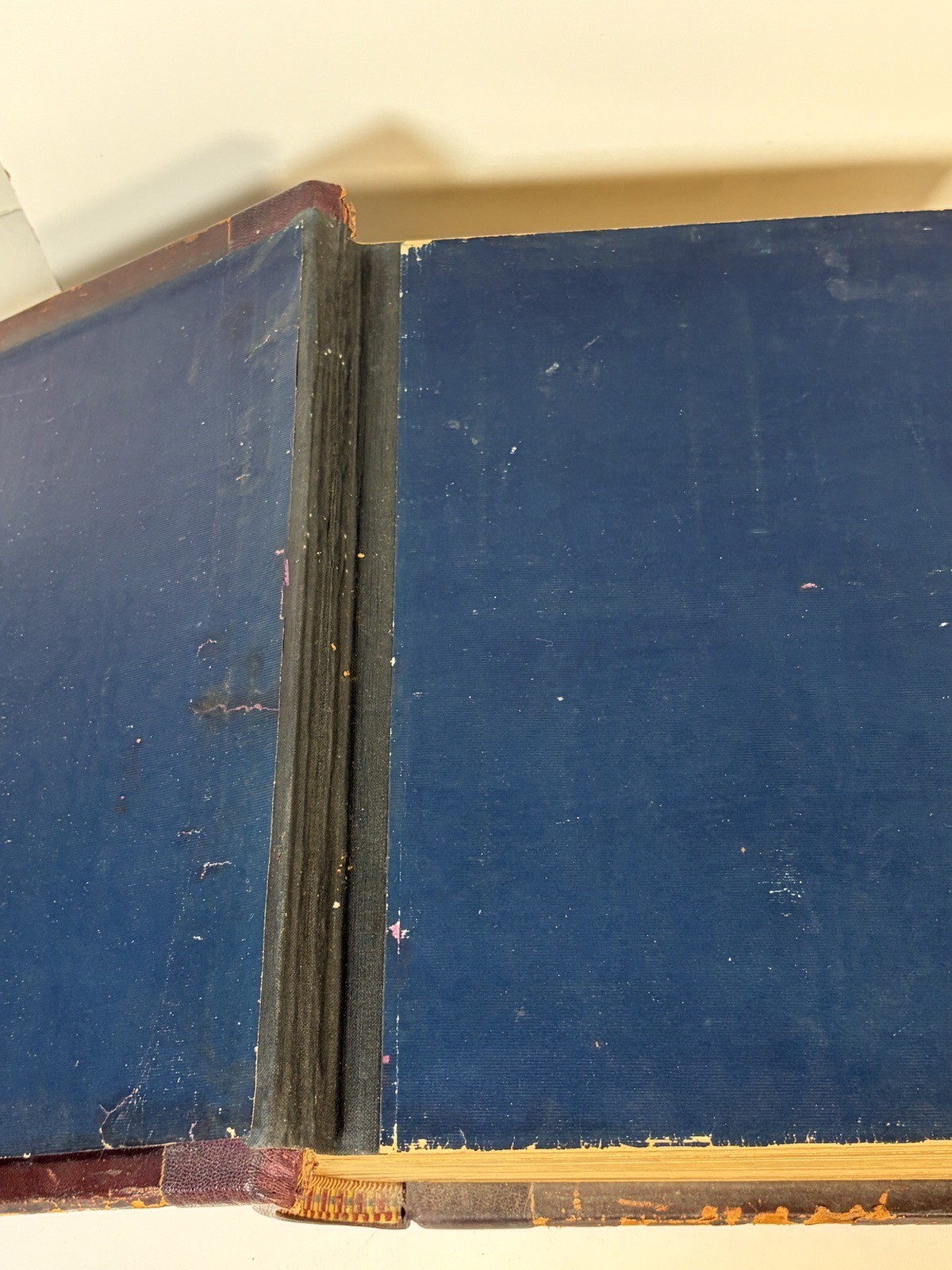 Antique 1889 Swedish Bible Den Heliga Skrift by Melin & Doré Illus Vansant