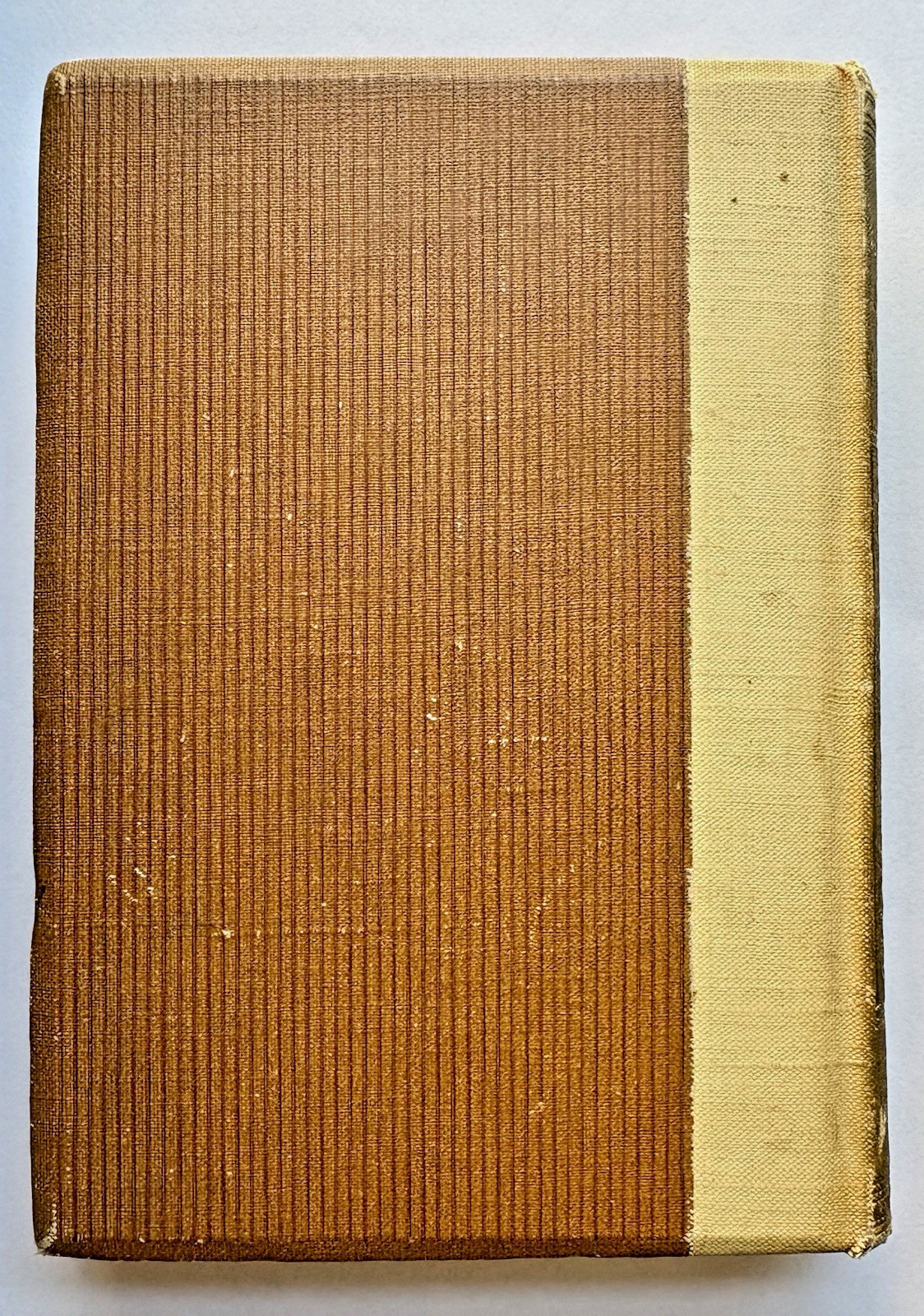 Beautiful Antique Bible Class Watercolor Presentation Page 1896 Life’s Byways