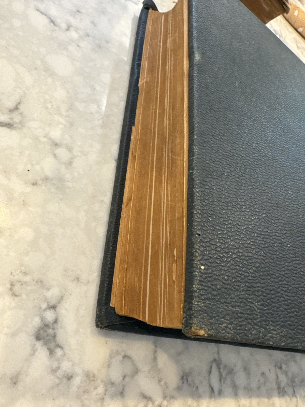 Antique 1880s GAY’S CIRCLE OF KNOWLEDGE Illustrated Victorian Leather Cloth Book