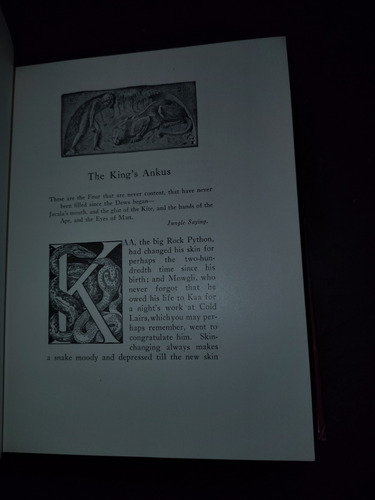 The Two Jungle Books by Rudyard Kipling ~ 1925 First Thus Ex-lib Very Good