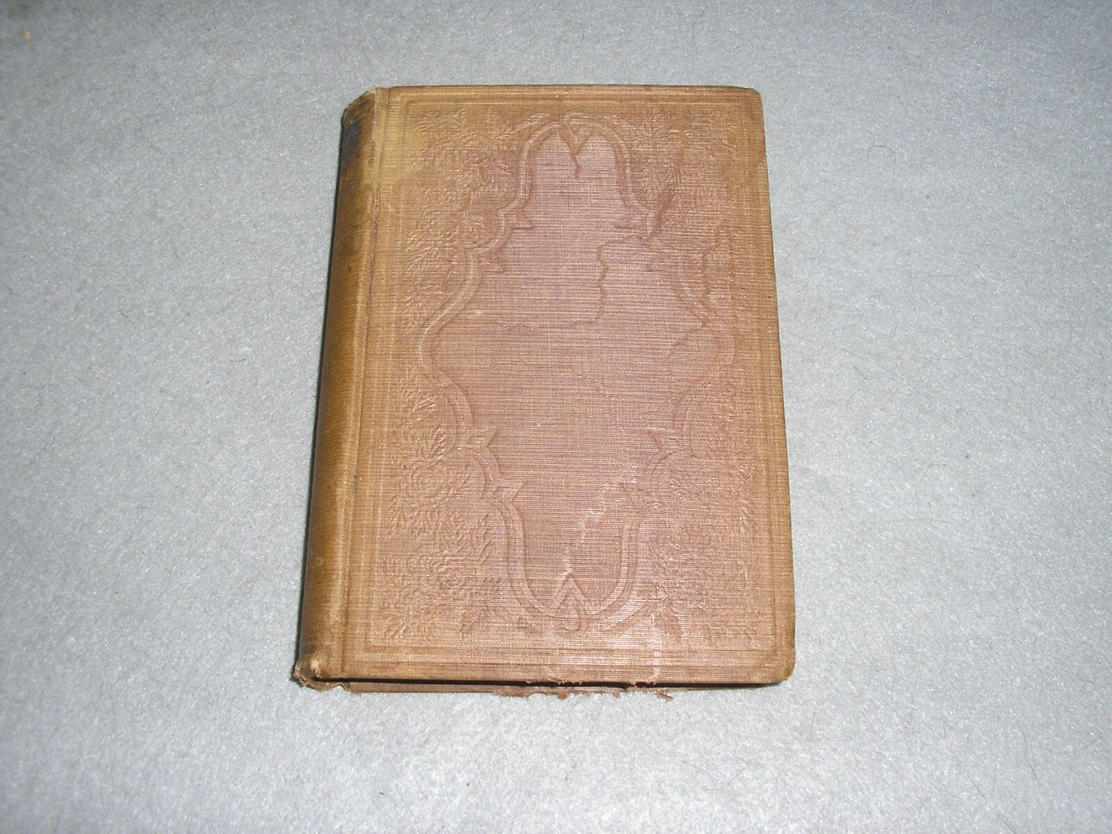 Antique NYC Book New York Life Ernest Grey Sins of Society Gangs of NY Era 1855