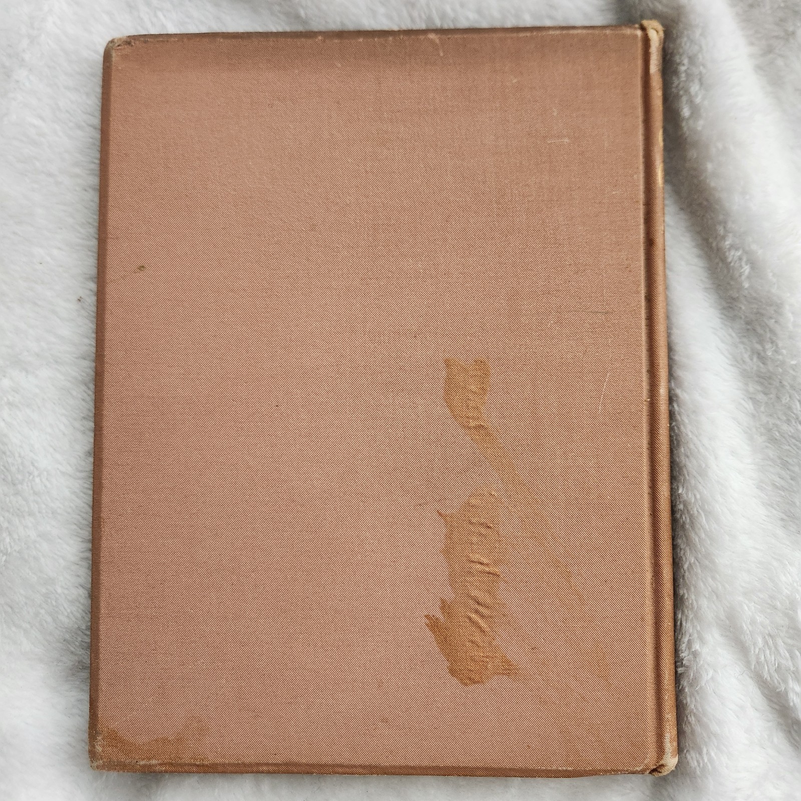 Gray’s Elegy Written in a Country Church-Yard 1885 Artists Edition Gold Leaf