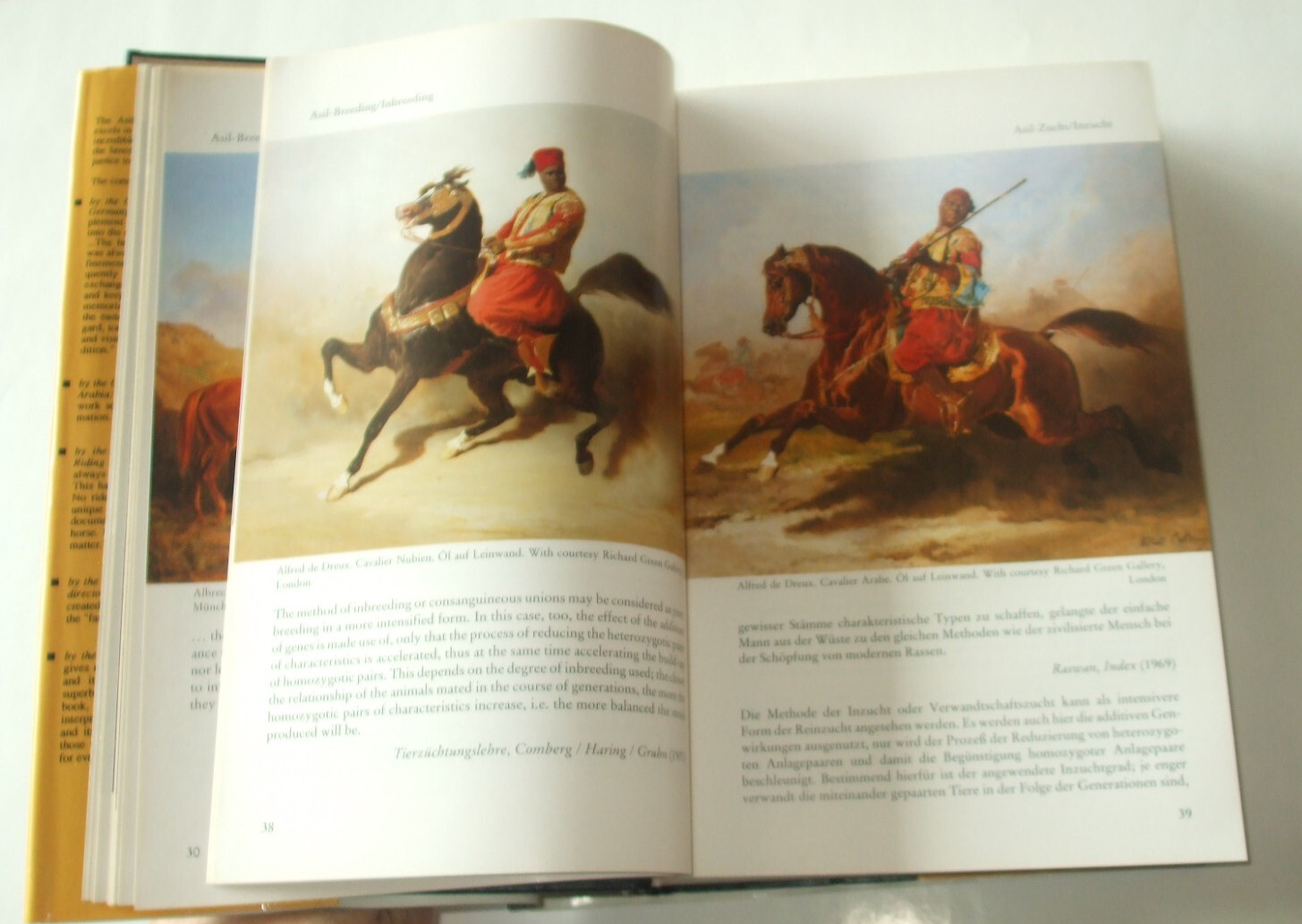 Asil Arabians IV – The Noble Arabian Horses – Asil Club – Asil Araber VTG HB