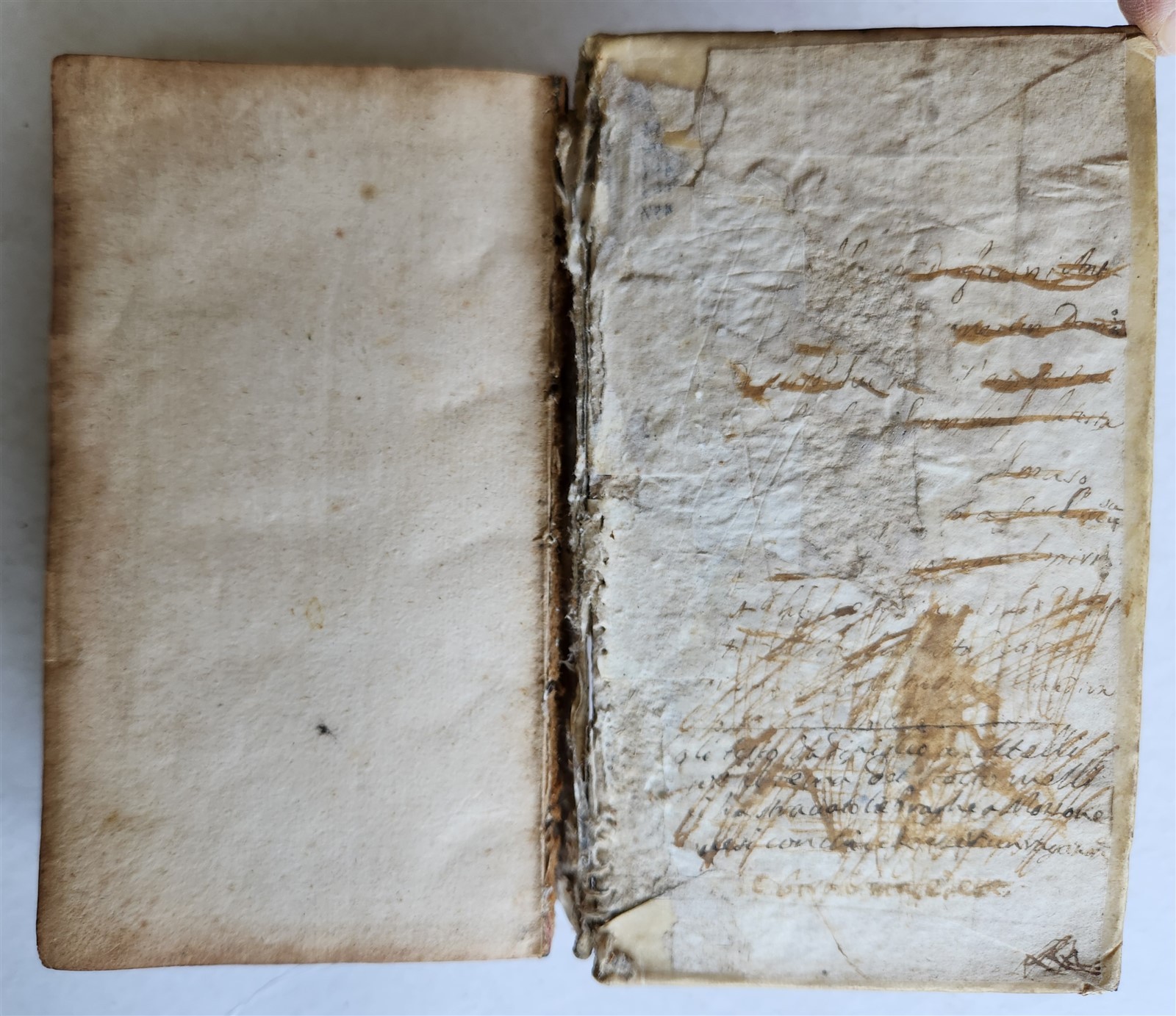 1672 BIBLE in ENGLISH antique 17th CENTURY vellum binding