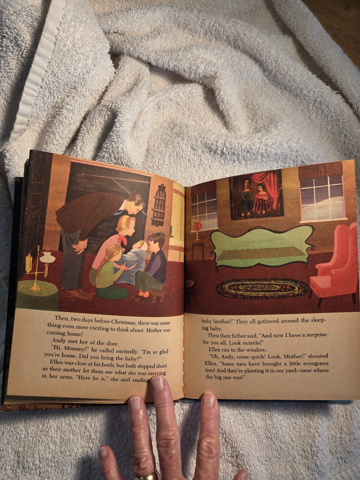 The Most Beautiful Tree In The World- Wonder Books – 1956 Edition, 8×6.5″