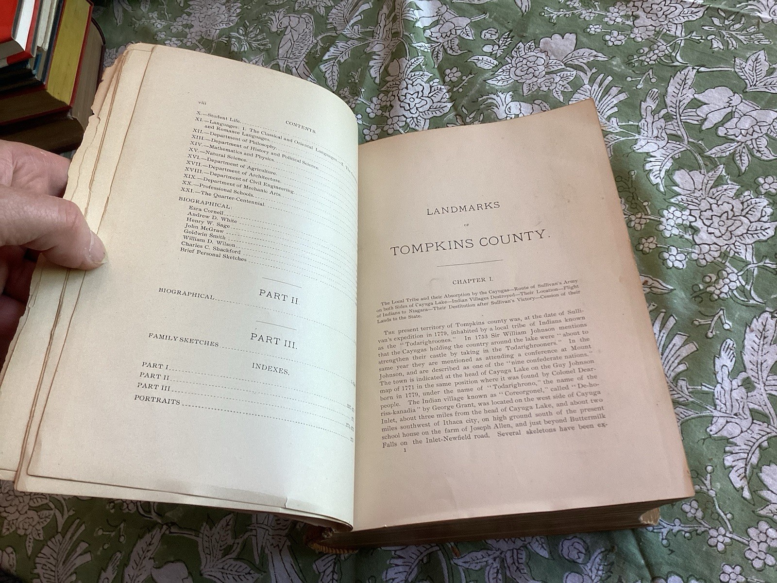 1894 Landmarks Tompkins County W/History Cornell University New York NY Illustra
