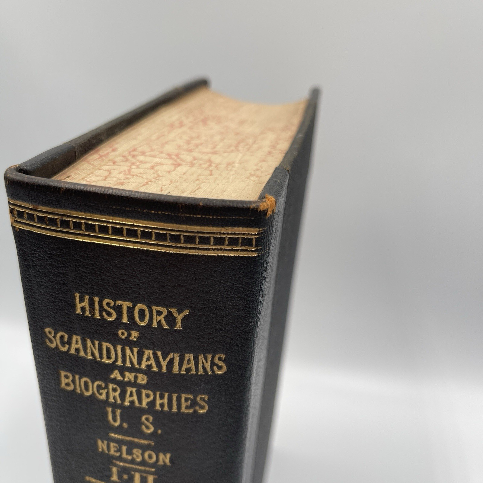 Antique History of the Scandinavians And Biographies US 1904 Nelson Book I-II