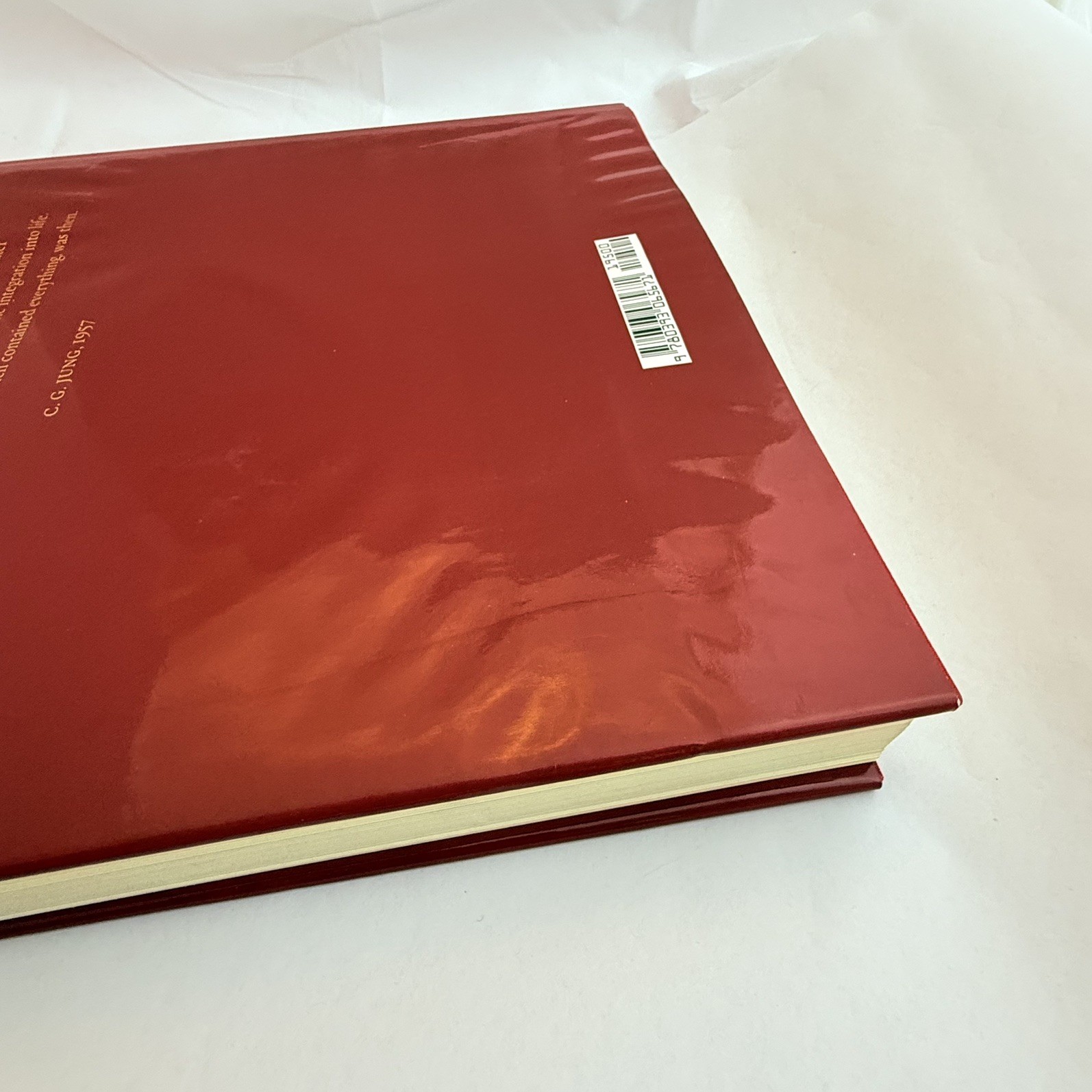 Carl Jung Red Book: LARGE Liber Novus First Edition Hardcover with Dust Jacket