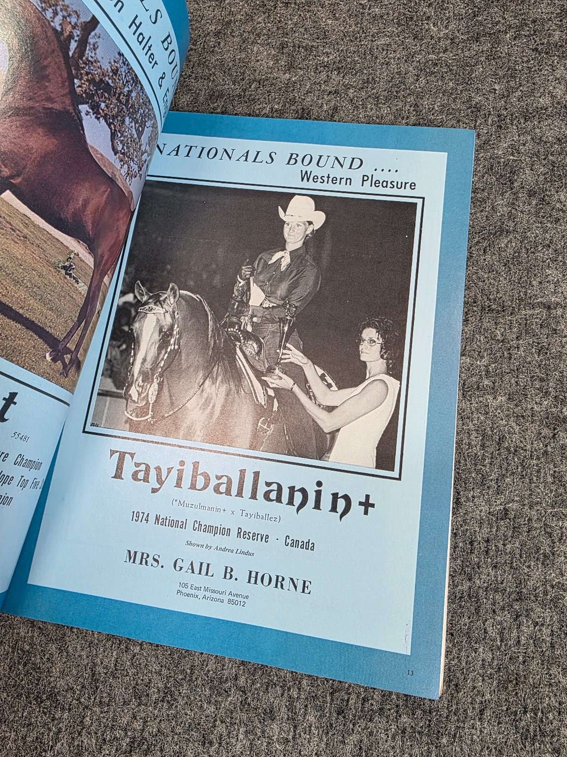 The Arabian Horse Times Vol 5 No 3 September 1974 Vintage Magazine Horses