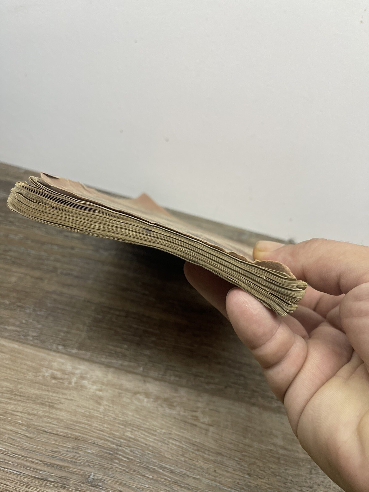 1884 Illustrated History of the U.S. Mint by A.M. Smith–Fantastic Line Drawings
