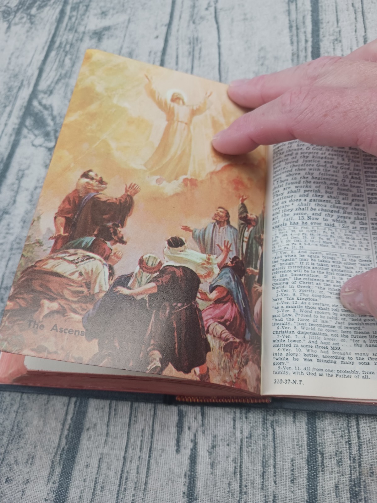 Holy Bible Saint Joseph New Catholic Edition Bible Confraternity Ed. 1963