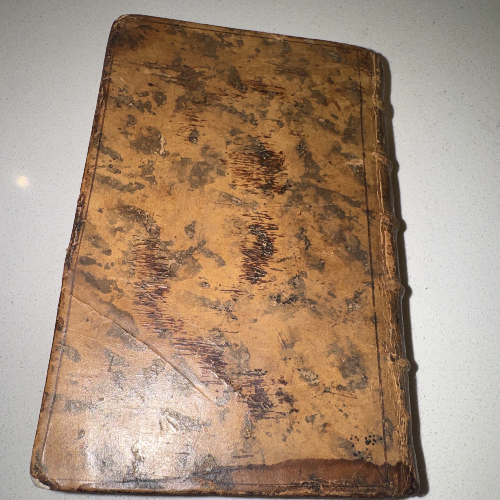 Antique Homer Opera Latin Edition Book Dated 1744