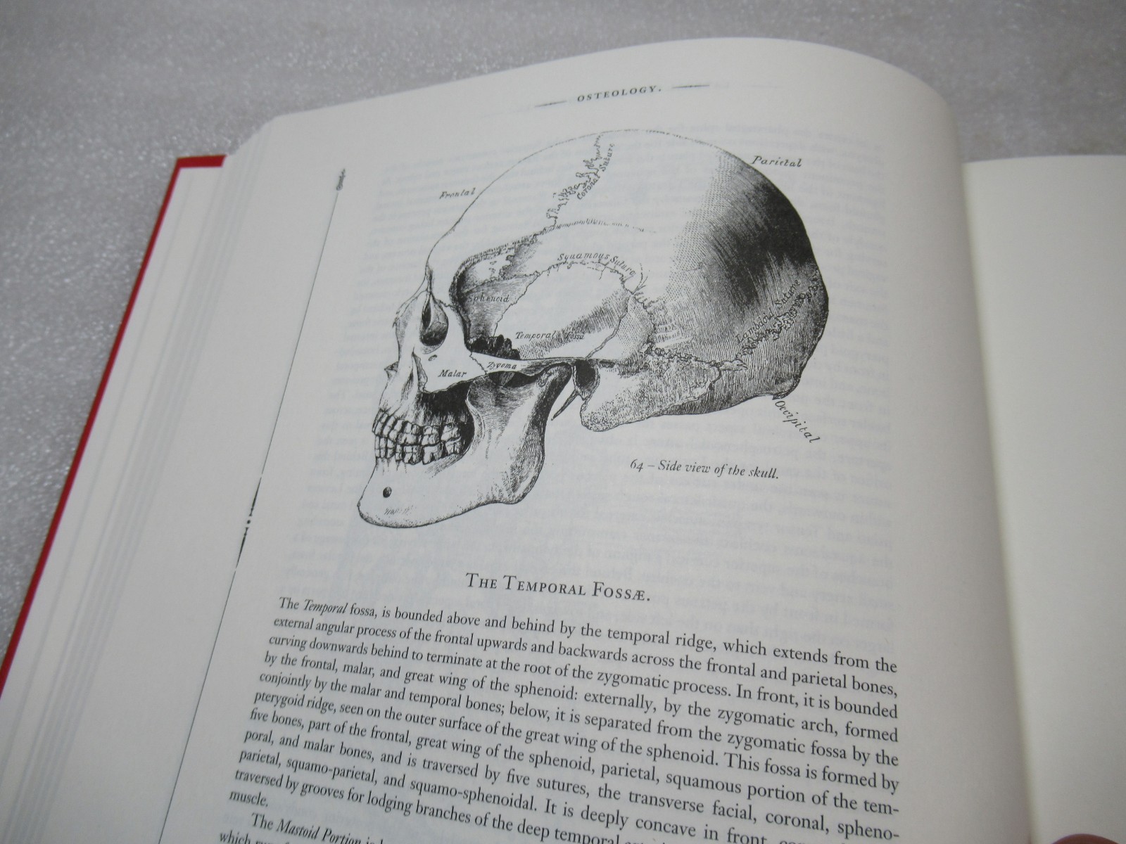 Gray’s Anatomy – Henry Carter Illustrated HB in Slipcase – Arcturus Edition 2014