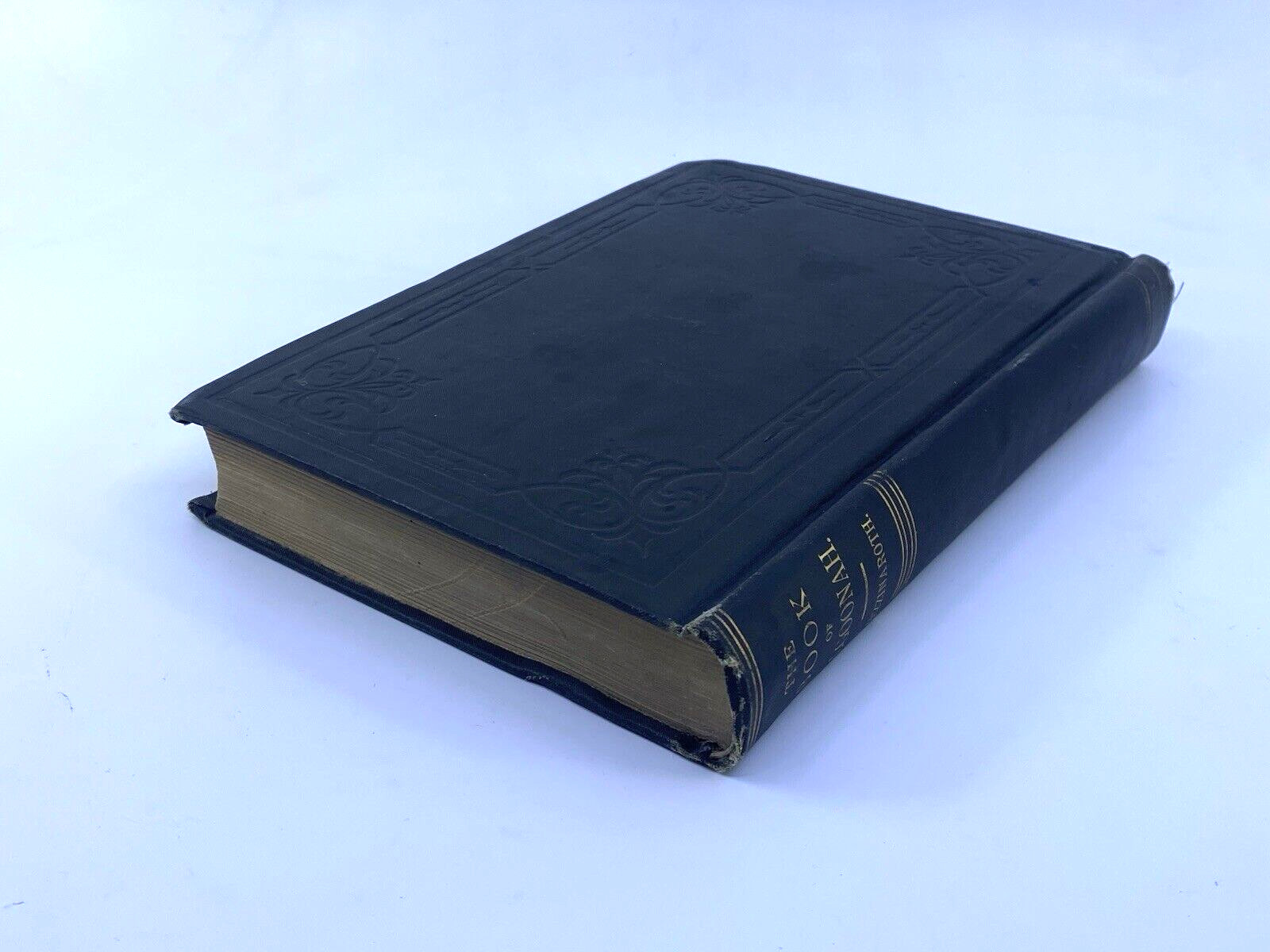 The Book of Algoonah: History of Early People of America 1884 Lost Race SIGNED?